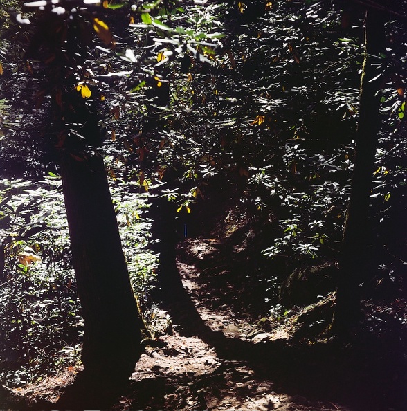 Gabes Mountain Trail.jpg